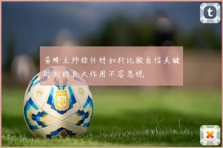 黄蜂主帅称怀特如科比般自信关键时刻的巨大作用不容忽视